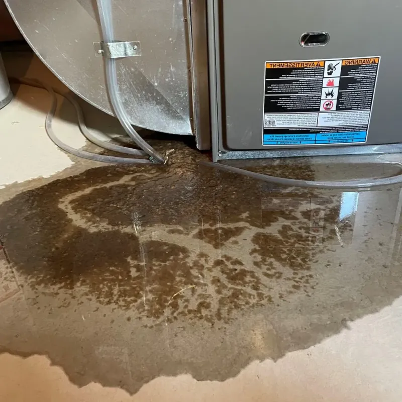 Pipe Burst and Leak Restoration in Thornton, CA