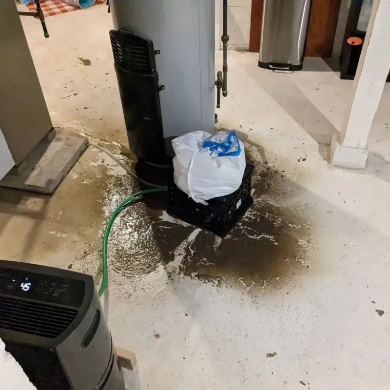 Sewage Backup Cleanup Service in Thornton, CA